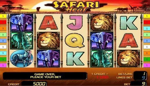 Safari Heat
